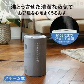 [4.0L/グレー] 象印(ZOJIRUSHI)/スチーム式加湿器 (連続加湿約8時間/湿度モニター)/EE-DE50-HA