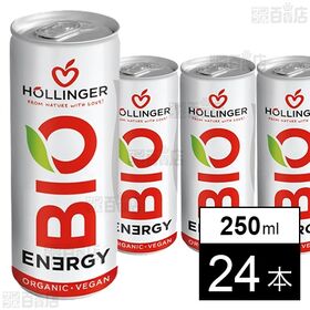 有機ヴィーガン エナジードリンク ビオエナジー 250ml