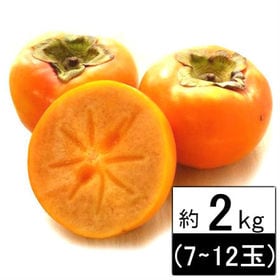 【約2kg】愛媛県産 柿 品種おまかせ(ご家庭用・傷あり)