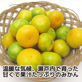 【約5kg(S-L)】 香川県産 秀品 極早生みかん 贈答にも使える