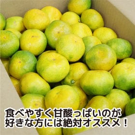 【約5kg(S-L)】 香川県産 秀品 極早生みかん 贈答にも使える