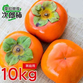 予約受付】11/10~順次出荷【10kg】愛知県産 次郎柿 ご家庭用を税込