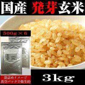 3kg 500g 6袋 国産発芽玄米 雑穀米 チャック付き を税込 送料込でお試し サンプル百貨店 Healthy Smile