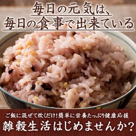 30kg 500g 60袋 国産 栄養満点23穀米 チャック付き を税込 送料込でお試し サンプル百貨店 Healthy Smile