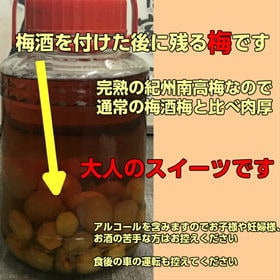 【800g】梅酒の「うめ」－紀州南高梅－※形状バラバラ／甘味があり食べ応え抜群！