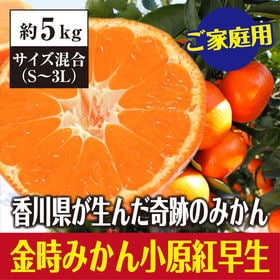 約5kg S 3l 香川県産 小原紅早生みかん ご家庭用 サイズ混合 を税込 送料込でお試し サンプル百貨店 サンタの贈り物