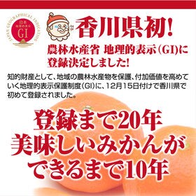 【約5kg(S-3L】 香川県産 小原紅早生みかん(ご家庭用・サイズ混合)