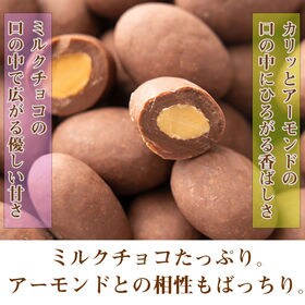 【3kg(500g×6袋】ミルクチョコレートたっぷりアーモンド 【冷蔵便】