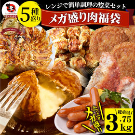 【計3.75kg】《5種》ハンバーグ＆餃子など詰め合わせ メガ盛り肉の福袋 ！レンジでOKの簡単調理