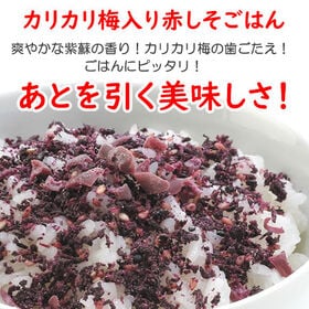 【45g×1袋】赤しそごはん「かりかり小梅入り」※2セット同時申込みでもう1袋プレゼント！