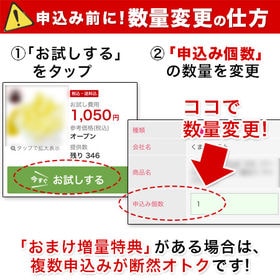 【予約受付】9/25-順次出荷【1.5kg(2L-Lサイズ)】利平栗　※ご家庭用 生栗