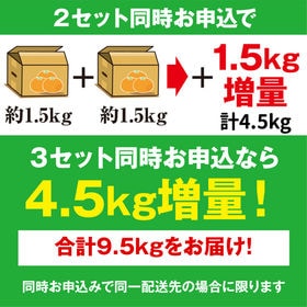 【極早生~早生1.5kg】瀬戸内 香川県産みかん ※ご家庭用(傷あり サイズ不揃い)