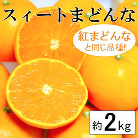 【約2kg】愛媛県産 スイートまどんな(ご家庭用・傷あり)