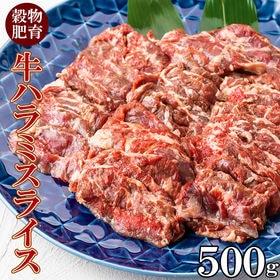 【500g】牛ハラミ 焼肉用スライス | スーパーでなかなか見かけない牛ハラミはお肉問屋からお取り寄せ！焼肉に、バーベキューに！
