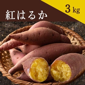 【3kg】静岡県産 「さつまいも 紅はるか」 | 芋ダイエット!その甘さ、まさに天然スイーツ！焼き芋、スイートポテトなどで美味しく食べれる♪