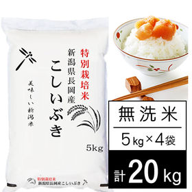 令和４年産 新米 新潟こしいぶき 25K - 米/穀物