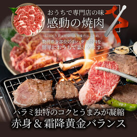 【10kg】牛 ハラミ 焼肉 牛肉 メガ盛り（250g×40パック）