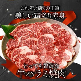 【10kg】牛 ハラミ 焼肉 牛肉 メガ盛り（250g×40パック）