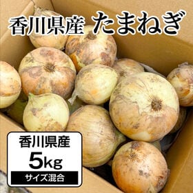 【約5kg】たまねぎ 香川県産  お求めやすいお手頃な量の玉ねぎをお届け♪ | さまざまな料理に使える万能野菜「玉ねぎ」です♪