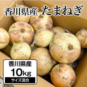 【約10kg】たまねぎ 香川県産 たっぷり詰めて玉ねぎをお届け♪ | さまざまな料理に使える万能野菜「玉ねぎ」です♪