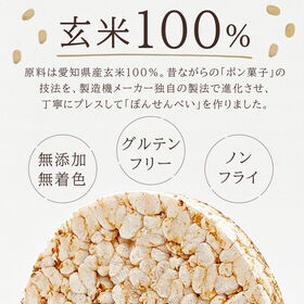 【計100枚】無添加 玄米 せんべい ライスケーキ  ポン菓子