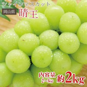 約1.2kg 2~3房】晴王 シャインマスカットを税込・送料込でお試し