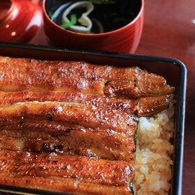 【2尾】特大　鹿児島県産うなぎ蒲焼セット（永谷園お吸い物4食分付）