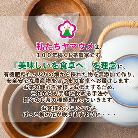 4g×10包】ヤマウメの深蒸し茶ティーパック【賞味期限：2023年7月31日】を税込・送料込でお試し｜サンプル百貨店 | ヤマウメ