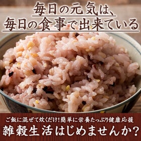 【900g(450g×2袋)】国産 栄養満点23穀米(チャック付き)