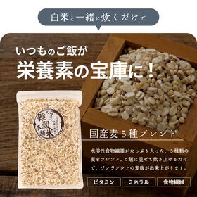 【4.5kg(450g×10袋)】国産麦5種 (雑穀米・チャック付き)