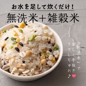 【450g(450g×1袋)】国産雑穀入り無洗米（栄養満点23穀米）水を足して炊くだけ♪