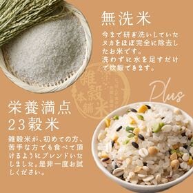 【450g(450g×1袋)】国産雑穀入り無洗米（栄養満点23穀米）水を足して炊くだけ♪