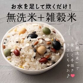 【450g(450g×1袋)】国産雑穀入り無洗米（ビューティーブレンド）水を足して炊くだけ♪