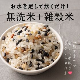 【450g(450g×1袋)】国産雑穀入り無洗米（古代米）水を足して炊くだけ♪