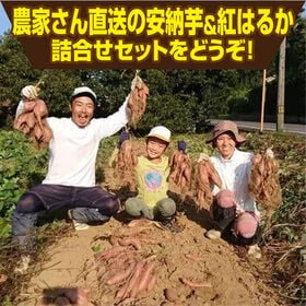 約3.0kg】香川県産 完熟さつまいも2種詰合せ(安納芋・紅はるか)を税込
