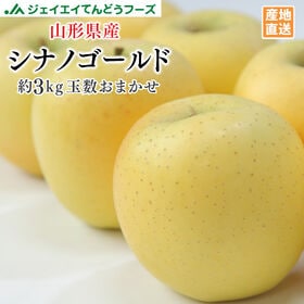 【約3kg(玉数おまかせ)】[秀品] 山形県産りんごシナノゴ...