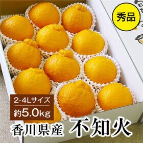 約3.0kg(2L-4L)秀品】香川県産 不知火 デコポン 同品種 大きなサイズを