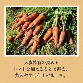 【1L×12本】人参嫌いの人に飲んでもらいたい 野菜ジュース 果実ミックスジュース 宅配便2個口配送