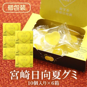 【10個入り×6箱】宮崎日向夏グミ | 宮崎県産日向夏を使用し、甘みが凝縮されたグミです♪