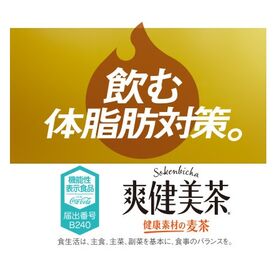 【48本】爽健美茶 健康素材の麦茶 600mlPET