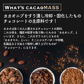 【2kg(500g×4個)】カカオマス【冷蔵】