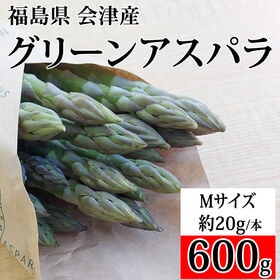 【600g/Mサイズ】 会津アスパラガス 福島県喜多方産(1本あたり約20g)クール便