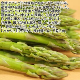 【600g/Mサイズ】 会津アスパラガス 福島県喜多方産(1本あたり約20g)クール便