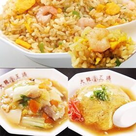 【7種/計14食】サンプル百貨店限定！レンチンごはんもの中華詰め込みセット