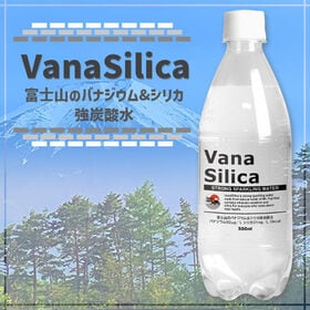 【500ml×48本】VanaSilica バナジウム＆シリカ 強炭酸水