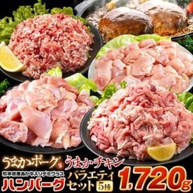 【5種/計1720g】 お肉5種 大容量バラエティセット | ハンバーグ 豚肉 鶏肉 切り落とし