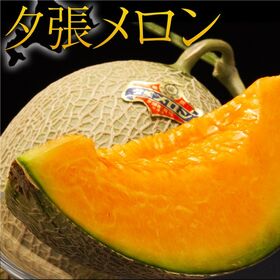 【計約2.6kg/2玉】北海道産 夕張メロン 良品 | ご自宅用にもお勧め！糖度10度基準