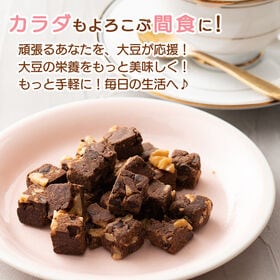 【100g×1袋】ソイキューブ(チョコくるみ)