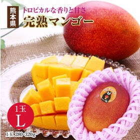 【Lサイズ(1玉)】熊本県産 完熟マンゴー | 秀品のマンゴー♪トロピカルな香りと甘さ♪お好みのアレンジでお召し上がり下さい