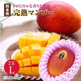 【Lサイズ(2玉)】熊本県産 完熟マンゴー | 秀品のマンゴー♪トロピカルな香りと甘さ♪お好みのアレンジでお召し上がり下さい